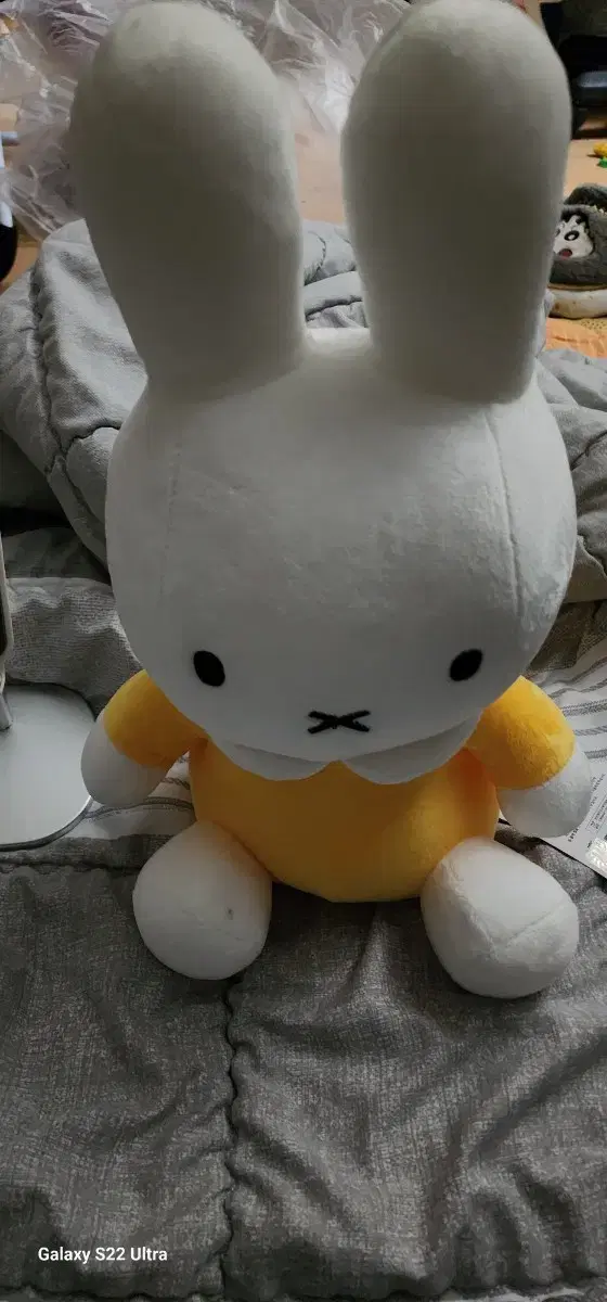 정품 토끼 인형 25cm